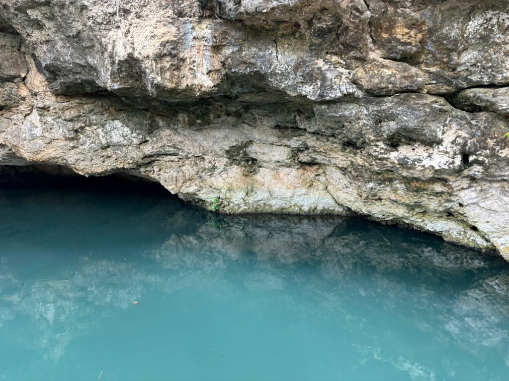 Hermoso Cenote en Cenotes de San Anselmo