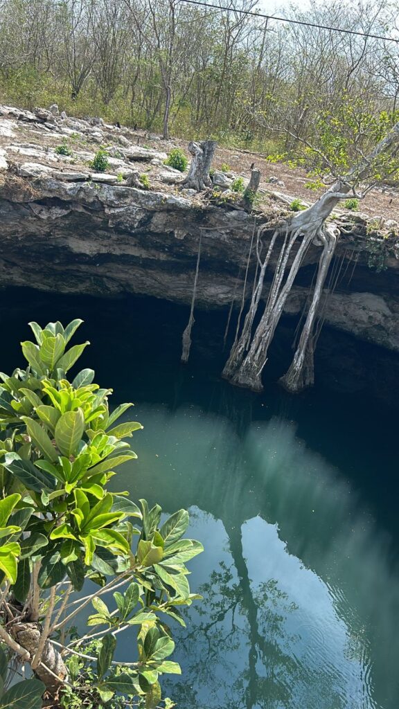 Hermoso Cenote en Cenotes de San Anselmo